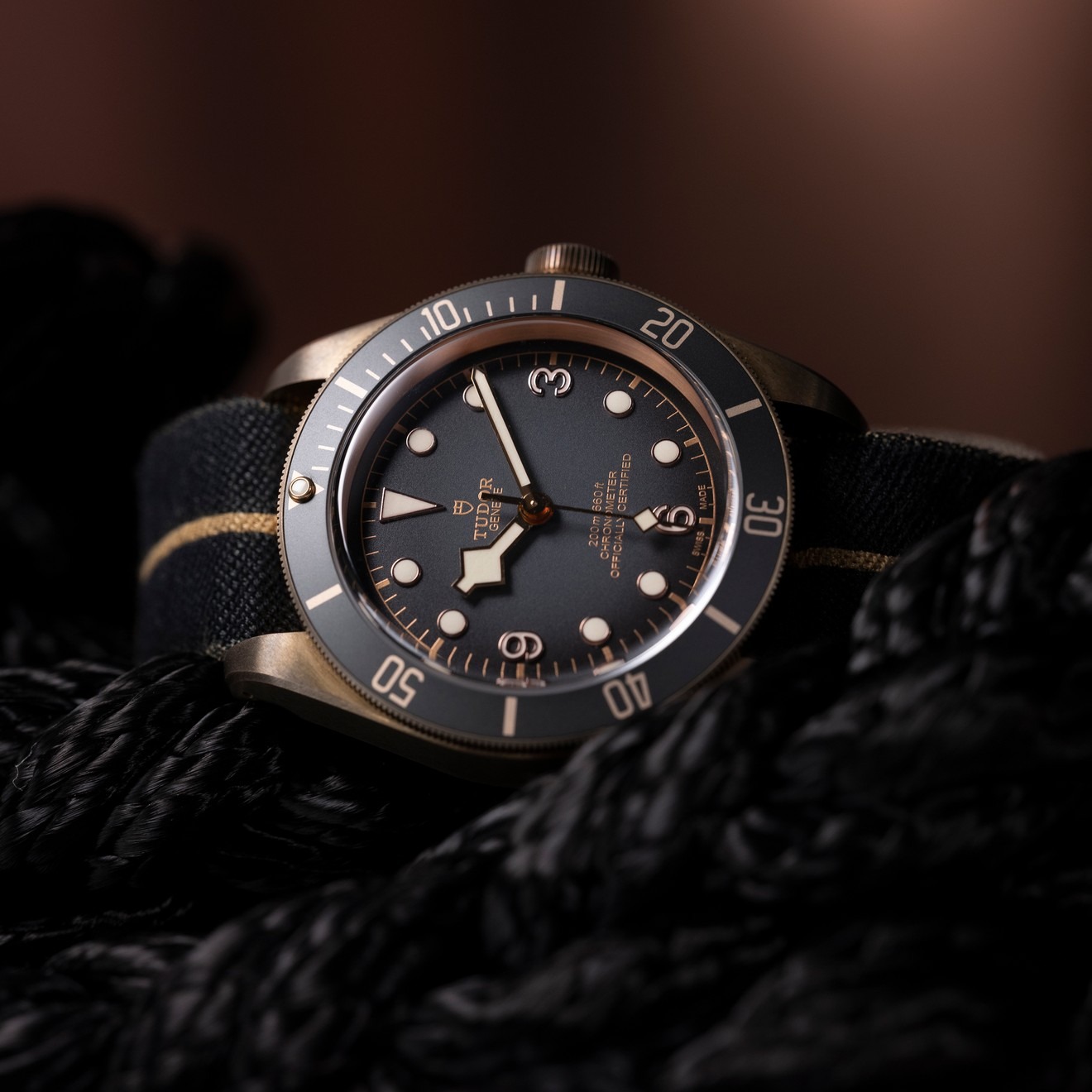 Tudor Black Bay Bronze Mood