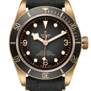 Tudor Heritage Black Bay Bronze Galli Zurich