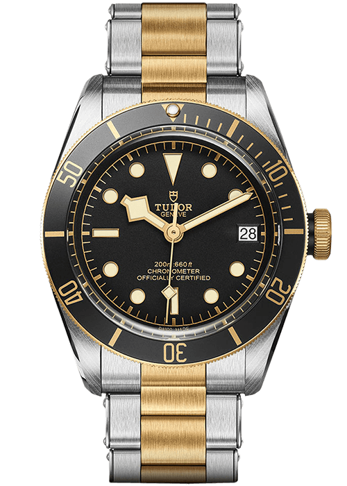 tudor-black-bay-s&g-M79733N-0008