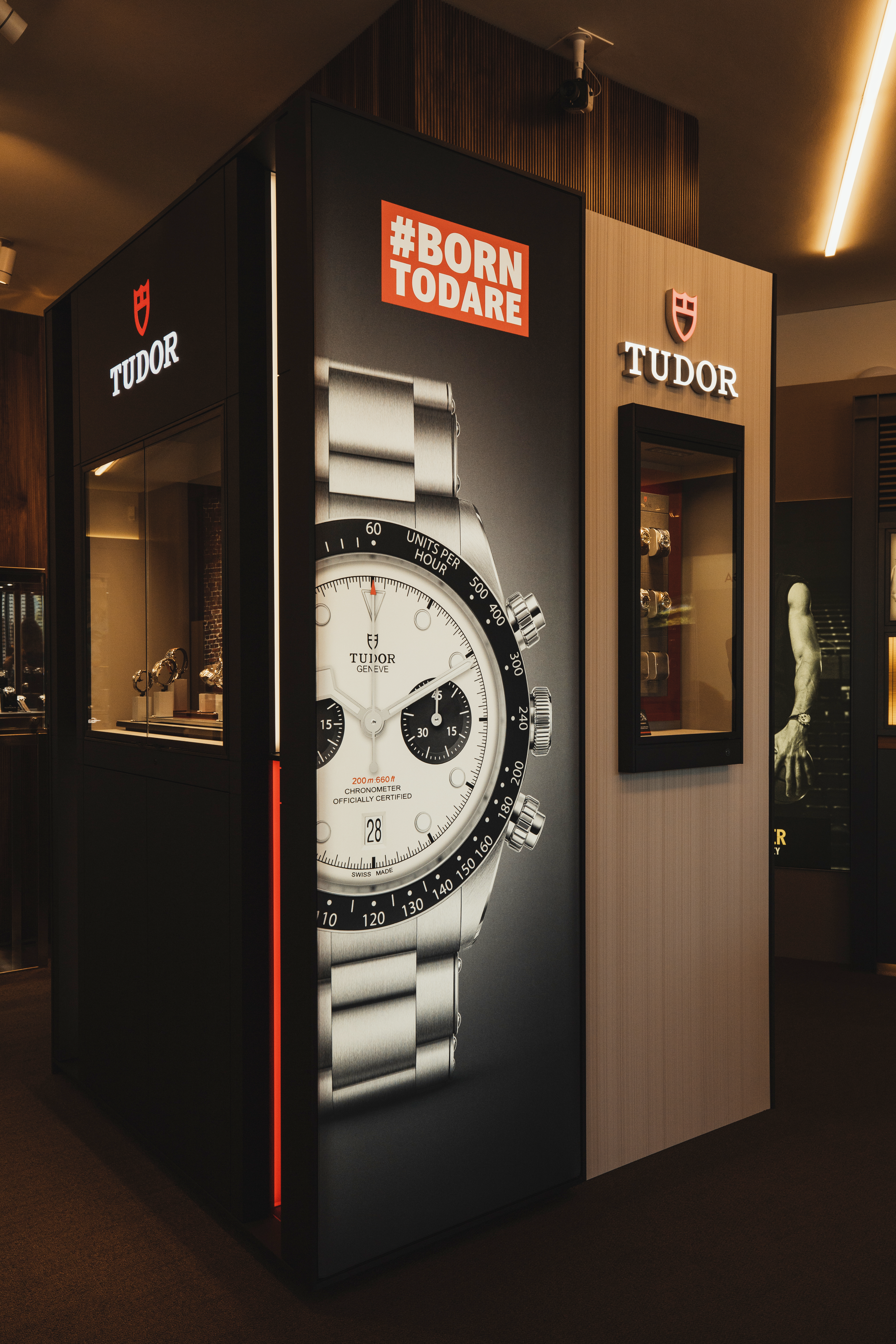 tudor-sis-galli-zurich