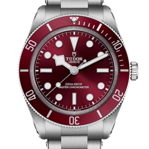 tudor-black-bay-58-burgundy-m7939a1a0ru-0002