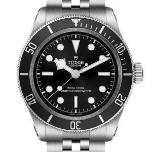 tudor-black-bay-41-metas